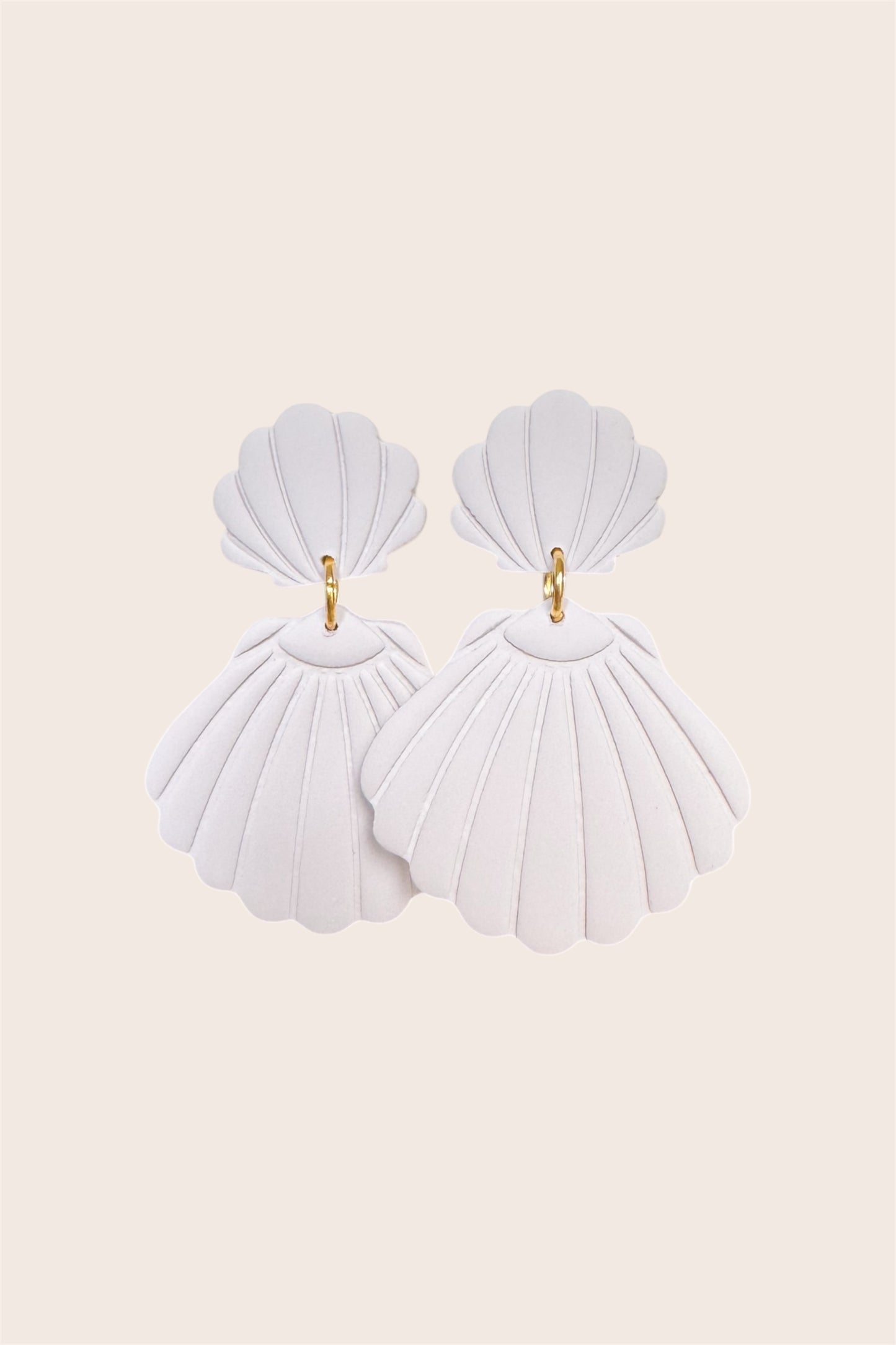 Seashells