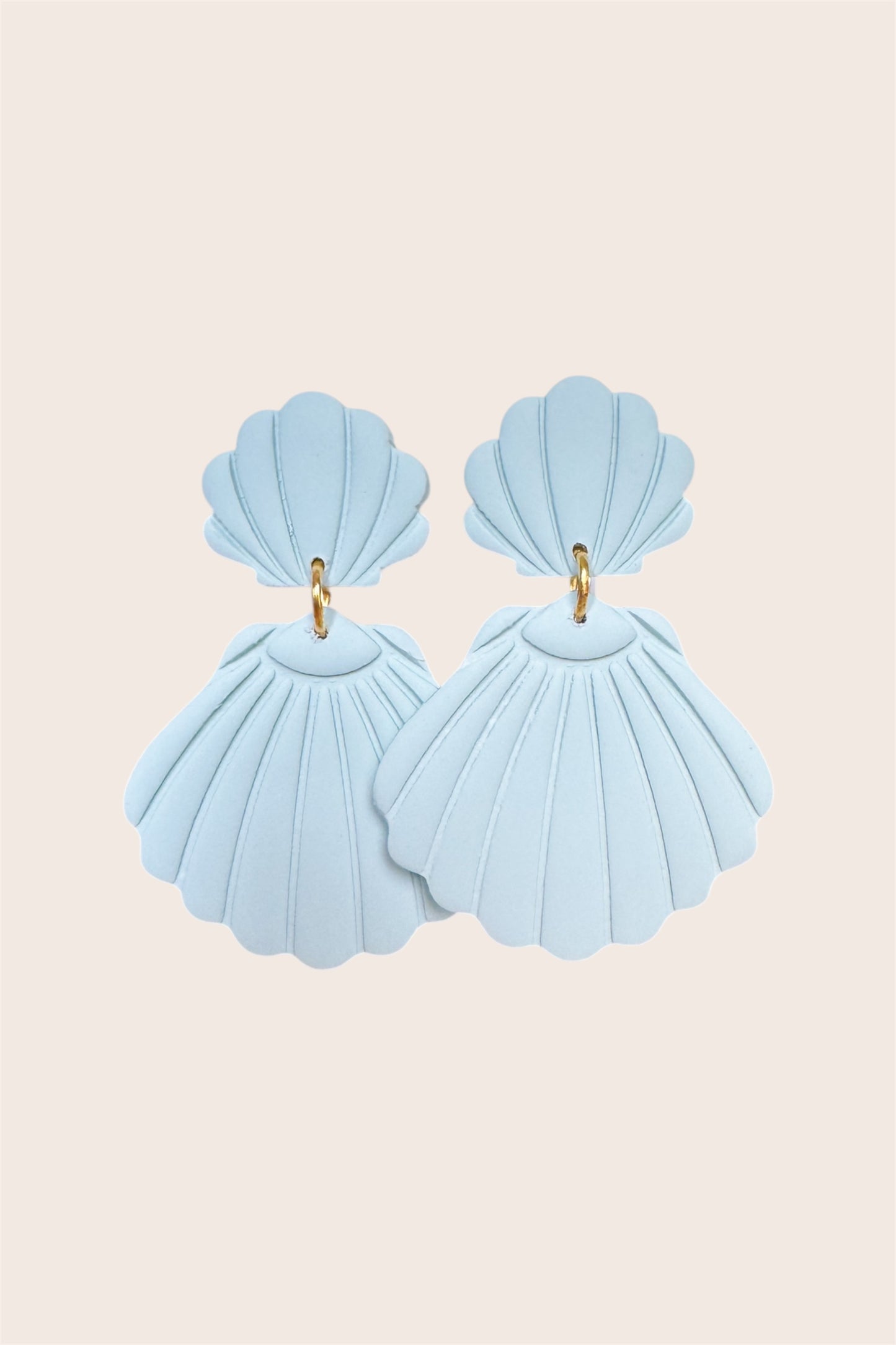 Seashells