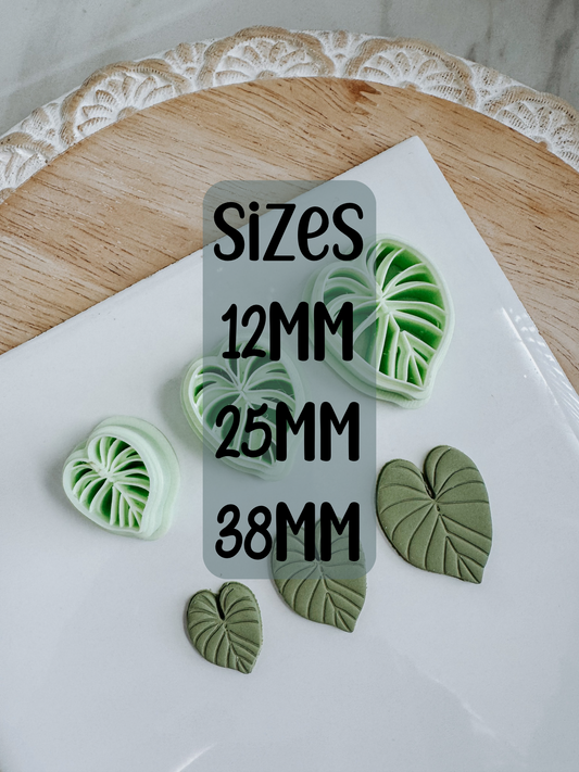 Calocasia Clay Cutter