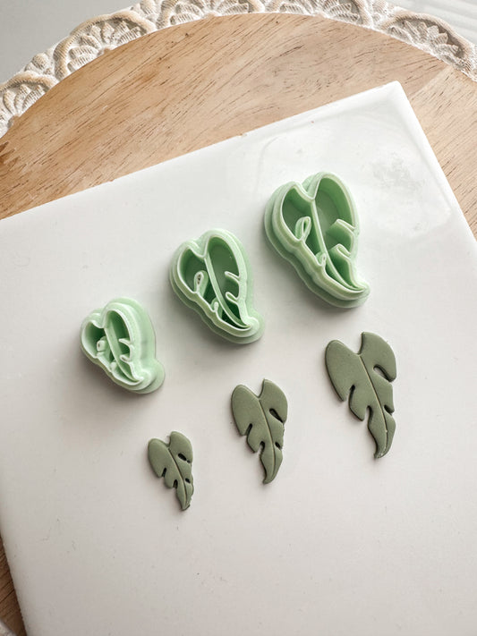 Philodendron Clay Cutter