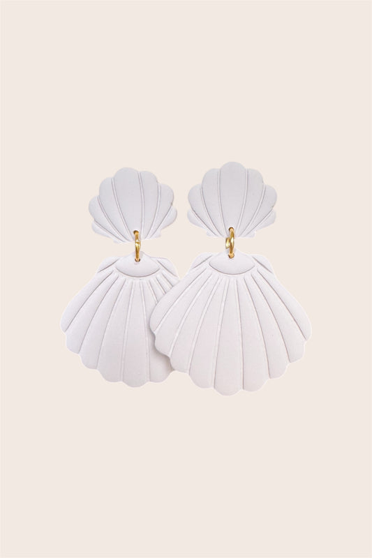 Seashells