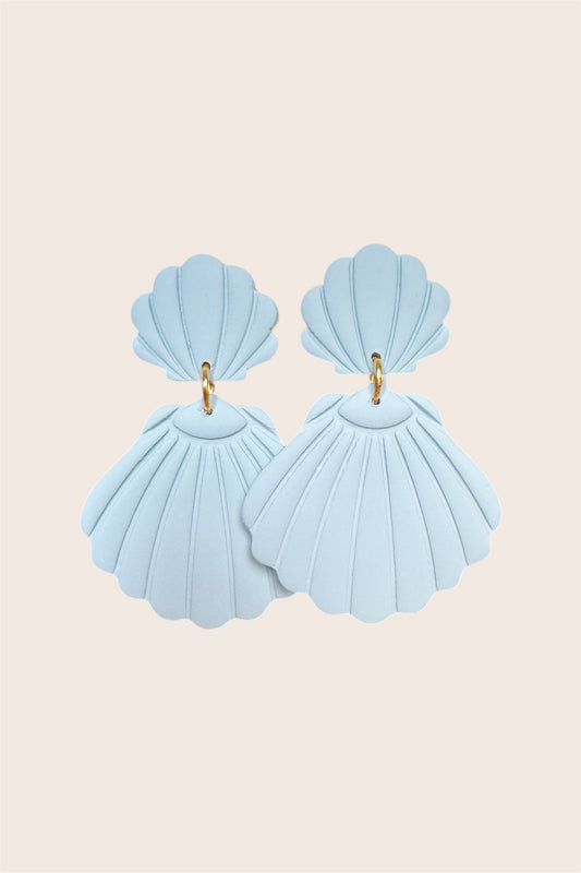 Seashells